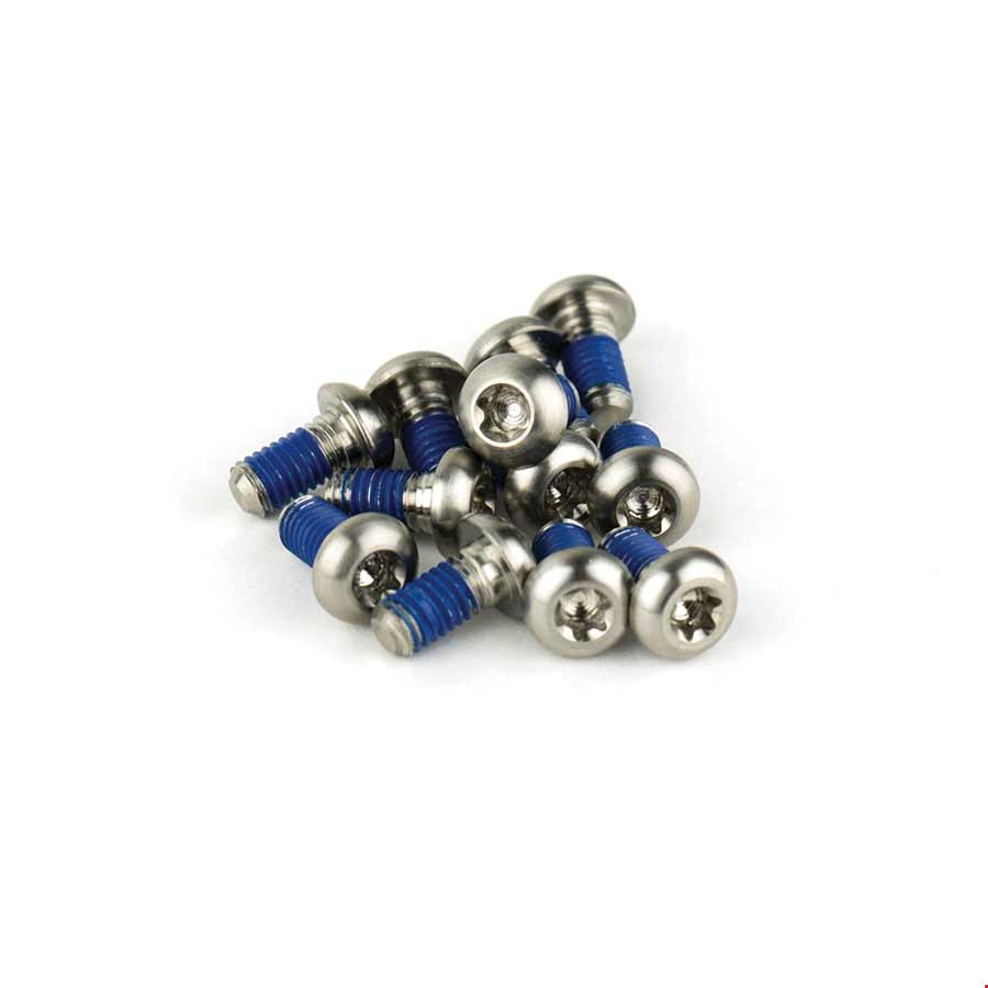 SRAM, Titanium Rotor Bolts, Silver, 12pcs