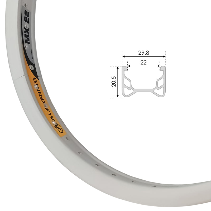 ALEXRIMS - 20" X 1.75 Y-22 - SILVER