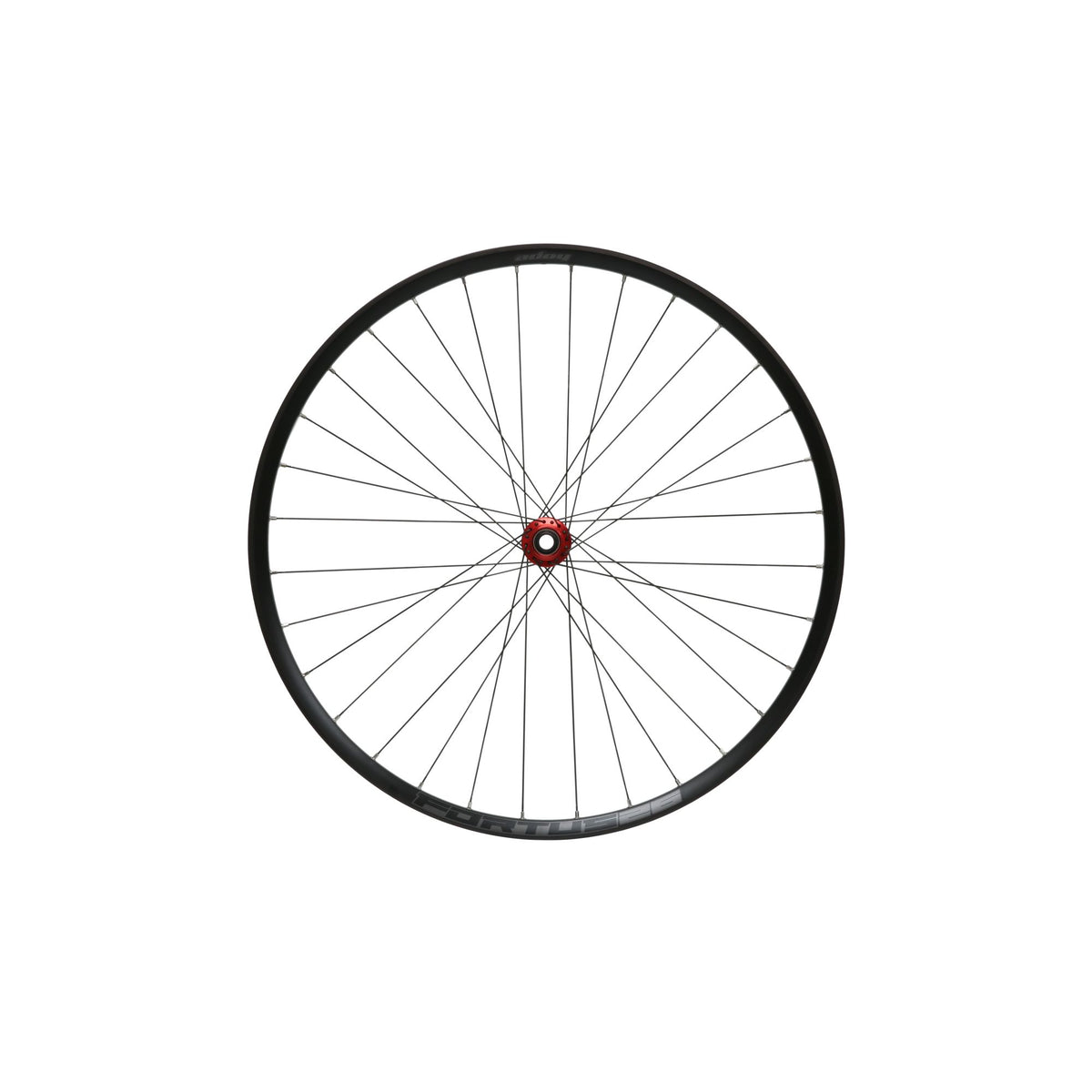 Hope Wheel Front 29 Fortus 26W Pro 5 C-Lock 100mm x QR Red
