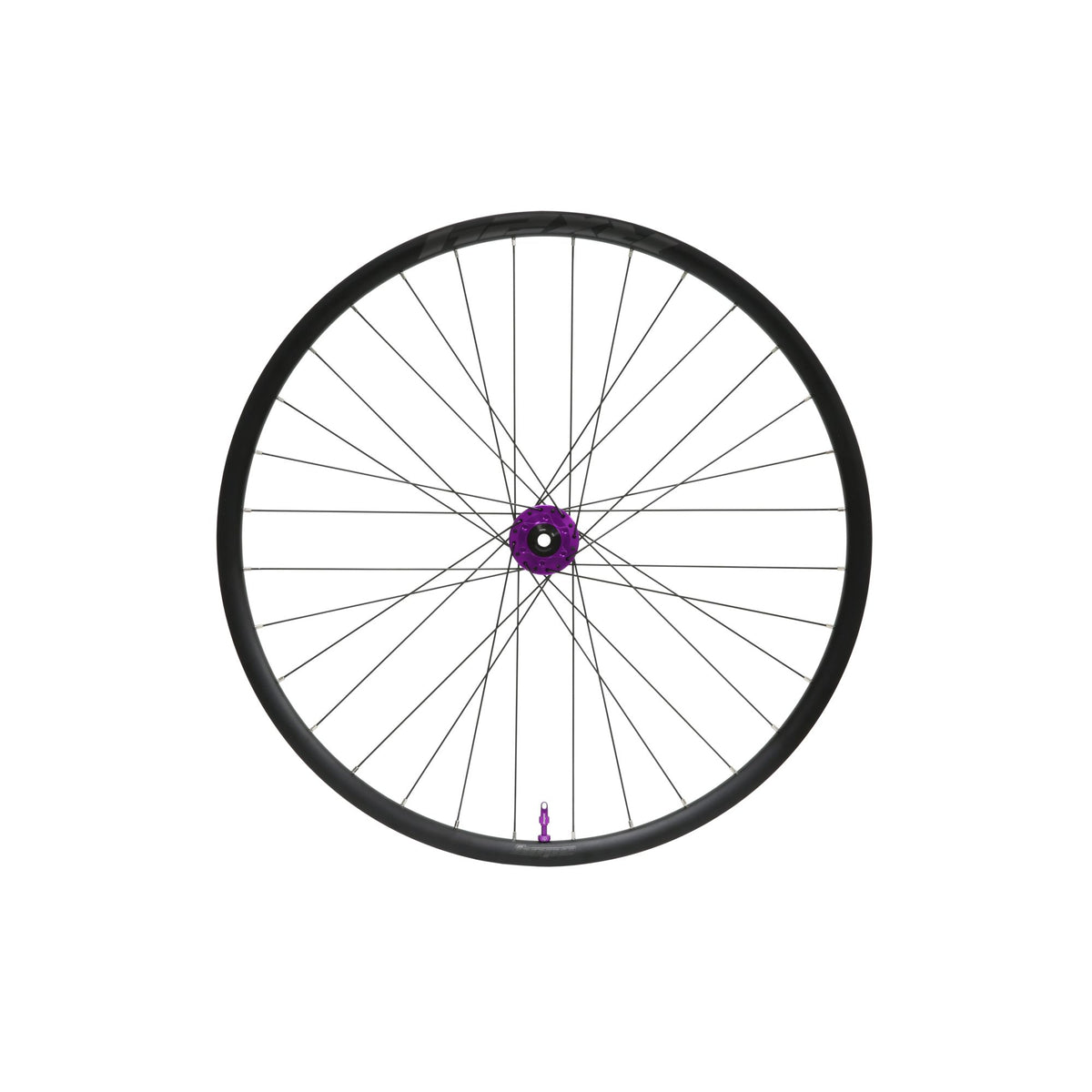 Hope Wheel Front RX24 Pro 5 24H 110mm x 12mm Purple