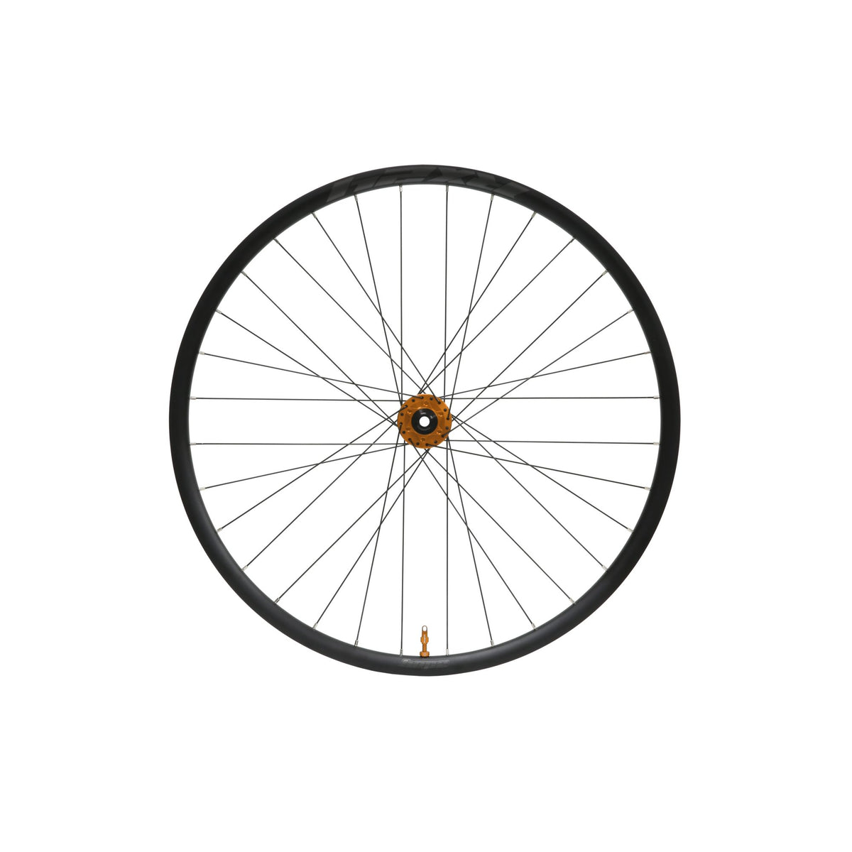 Hope Wheel Front RX24 Pro 5 28H 100mm x QR Orange