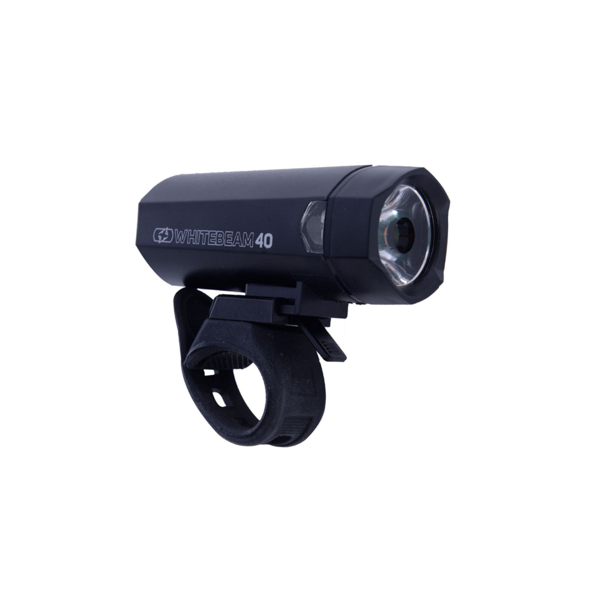 Bright Torch Whitebeam 40