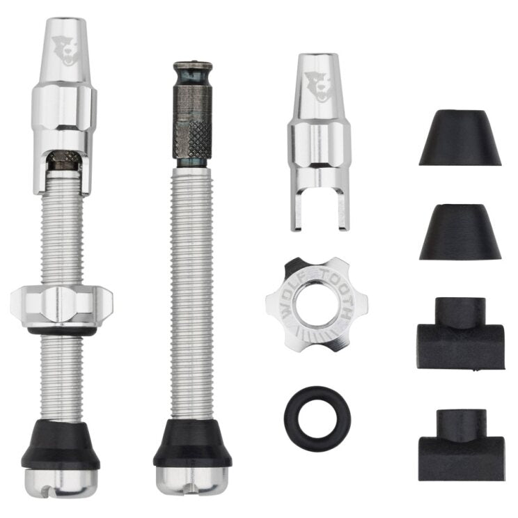 TUBELESS VALVE STEM KIT CLIK 44MM RAW SILVER