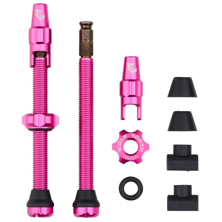 TUBELESS VALVE STEM KIT CLIK 60MM PINK