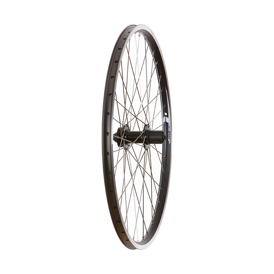 Wheel Shop, Evo Tour 19 Black/ Formula DC-22, Wheel, Rear, 26'' / 559, Holes: 36, QR, 135mm, Rim and Disc IS 6-bolt, Shimano HG