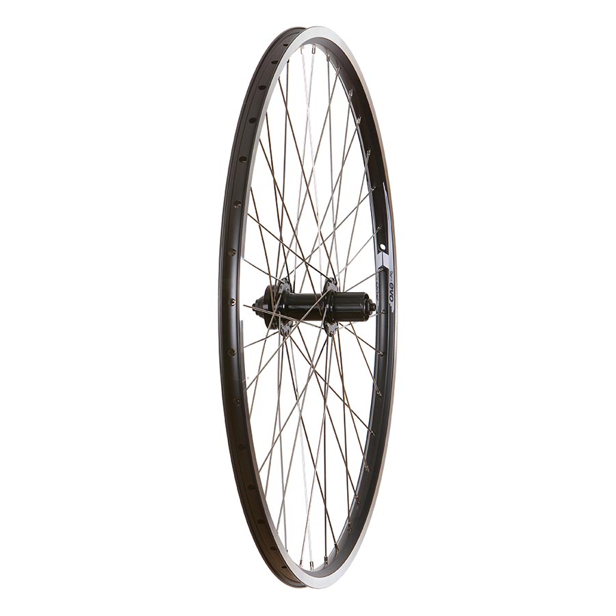 Wheel Shop, 4PK Evo Tour19, Wheel, Rear, 700C / 622, Holes: 36, QR, 135mm, Rim and Disc IS 6-bolt, Shimano HG, 4pcs, 041393-05-700