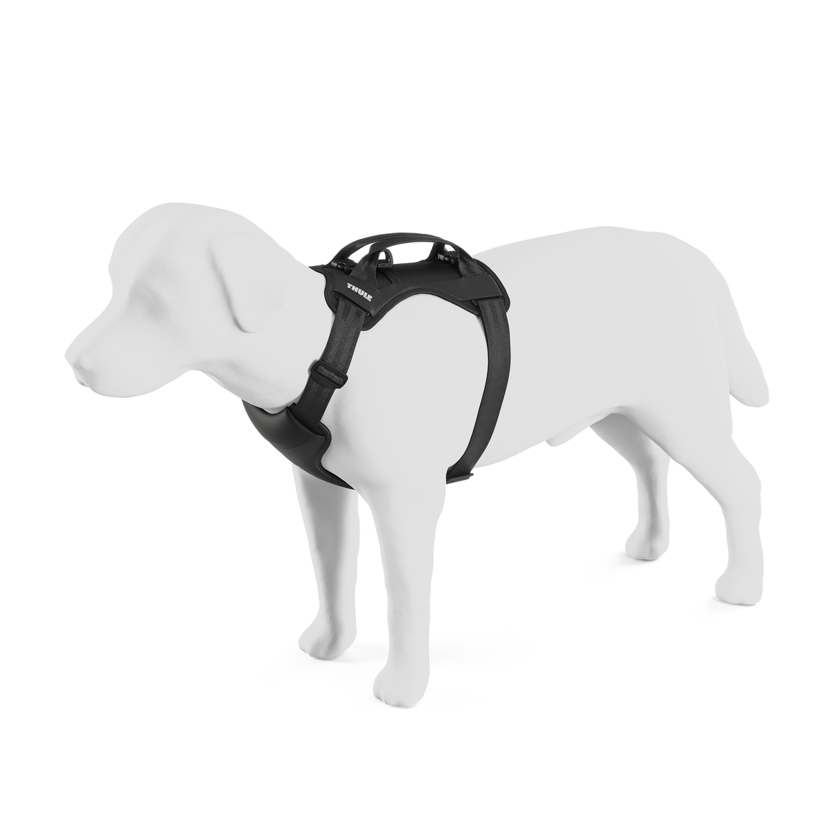 Thule Cappy
