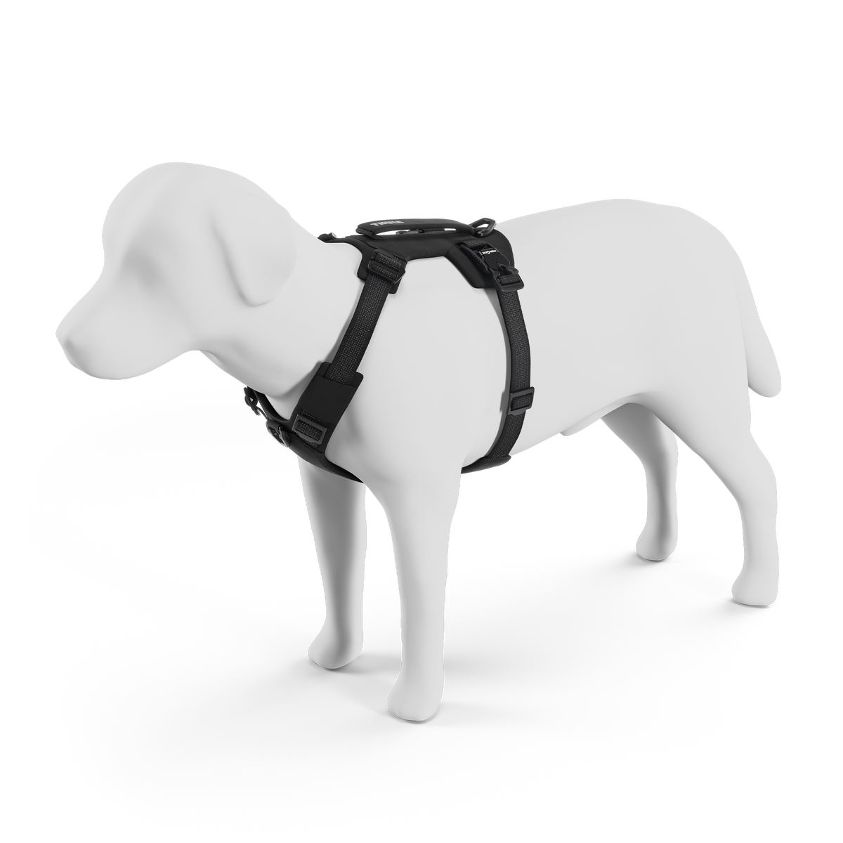Thule Dart harness