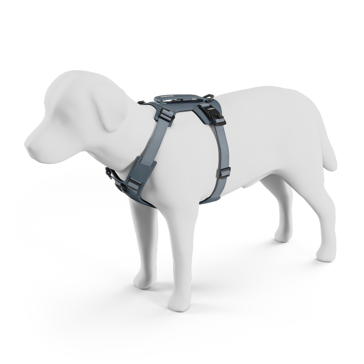 Thule Dart harness