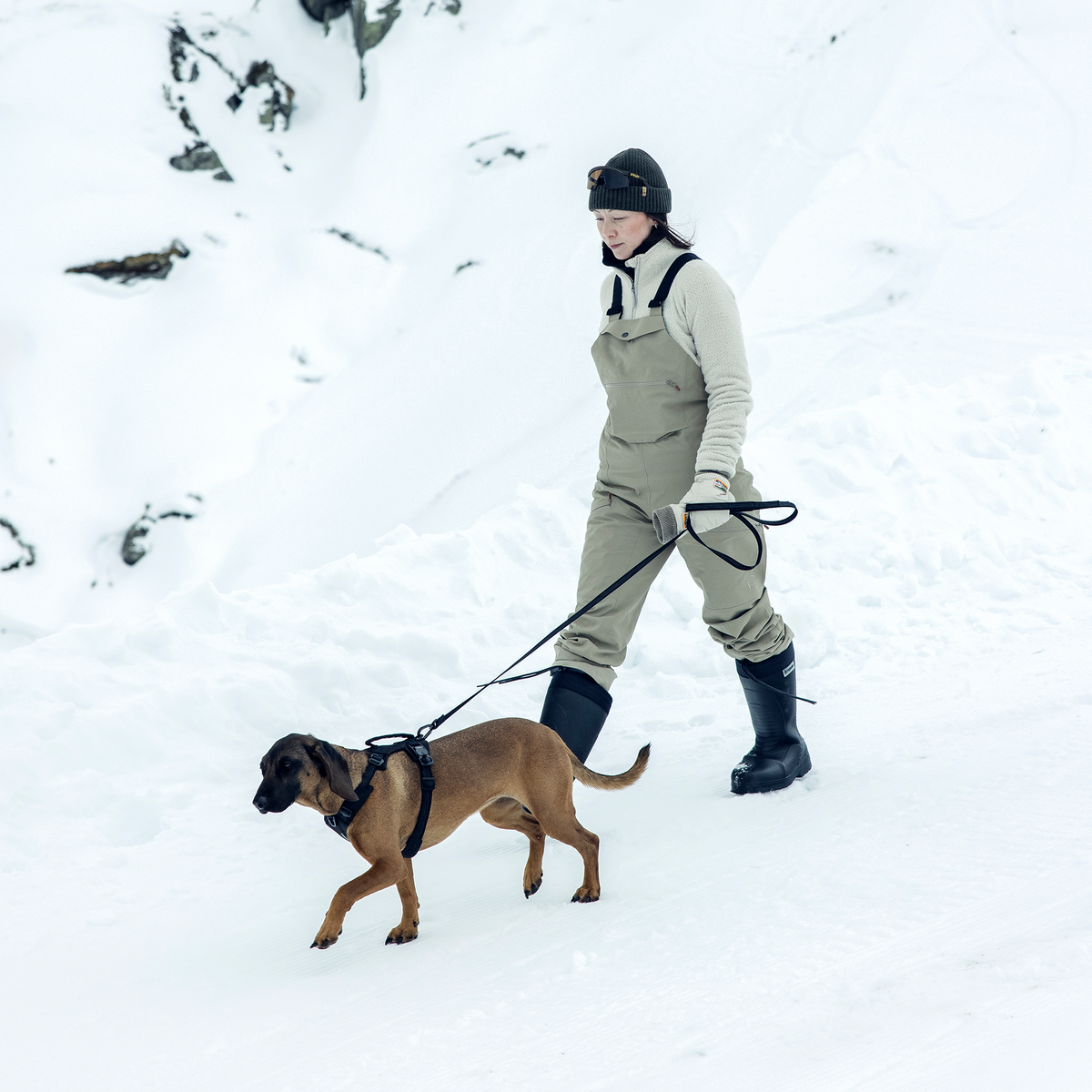 Thule Dart leash