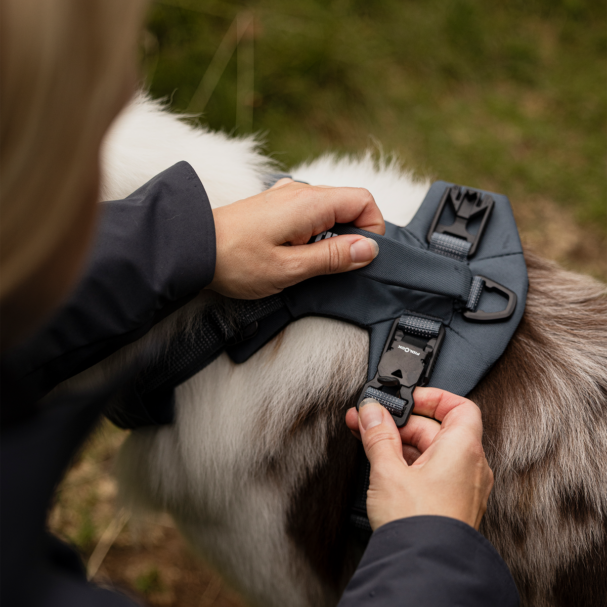Thule Dart harness