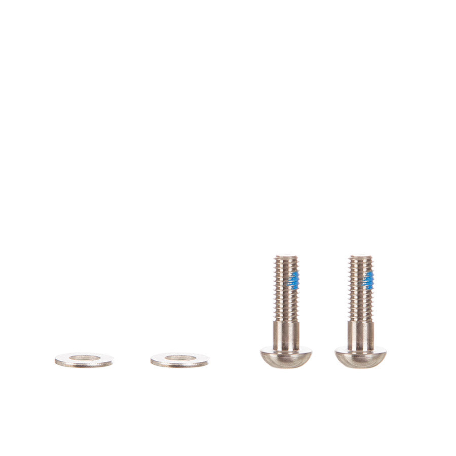 SRAM, Flat Mount Bolts, Ti 17mm, 2pcs