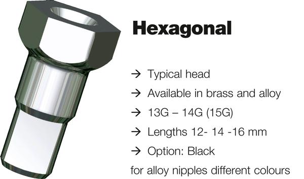 Sapim Nipple Brass 12mm, Silver, Hex Head, Bag of 100