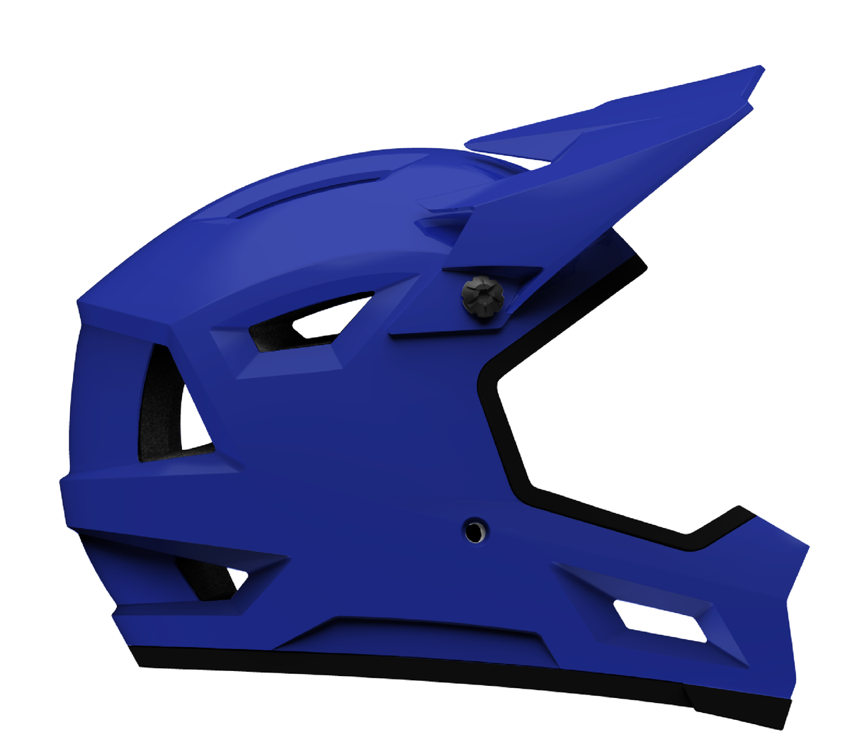 SANCTION 2 ELCT BLUE M