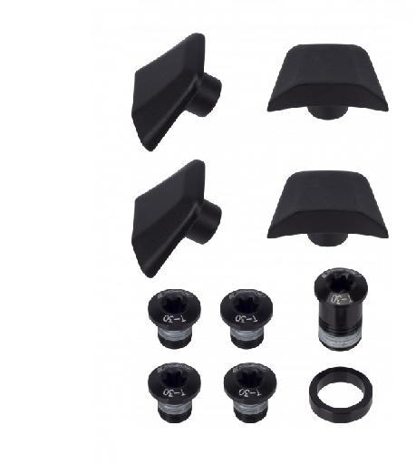 FSA Hardware, Chainring Bolts, SL-K Light, Black, / 10