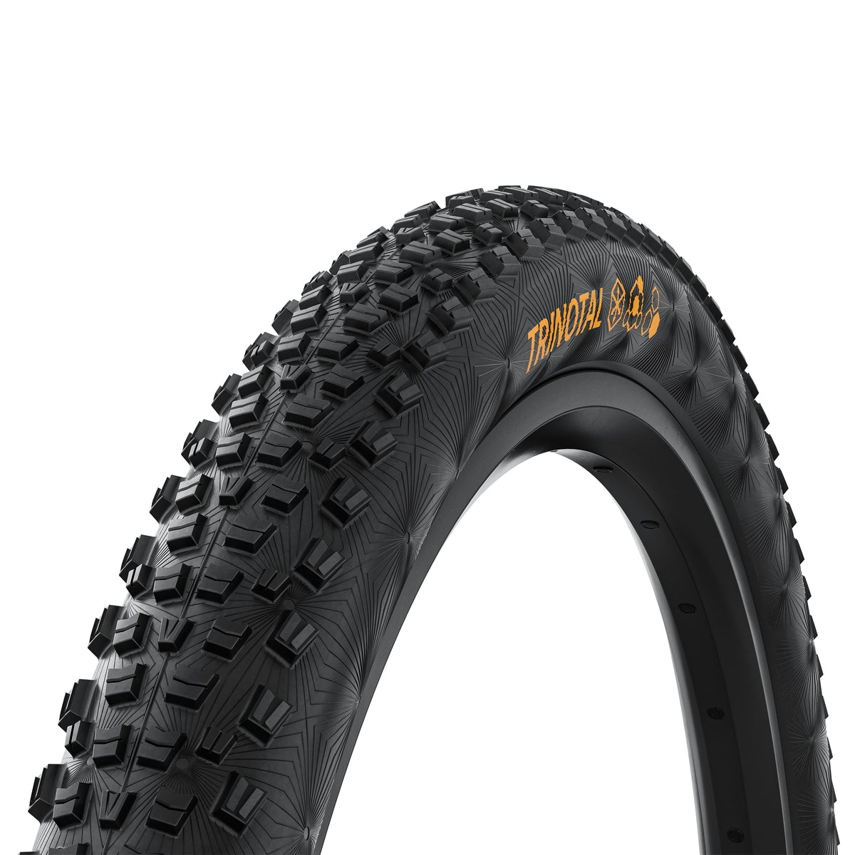 TRINOTAL 29 X 2.4 RACE CASING RAPID FOLD BLK