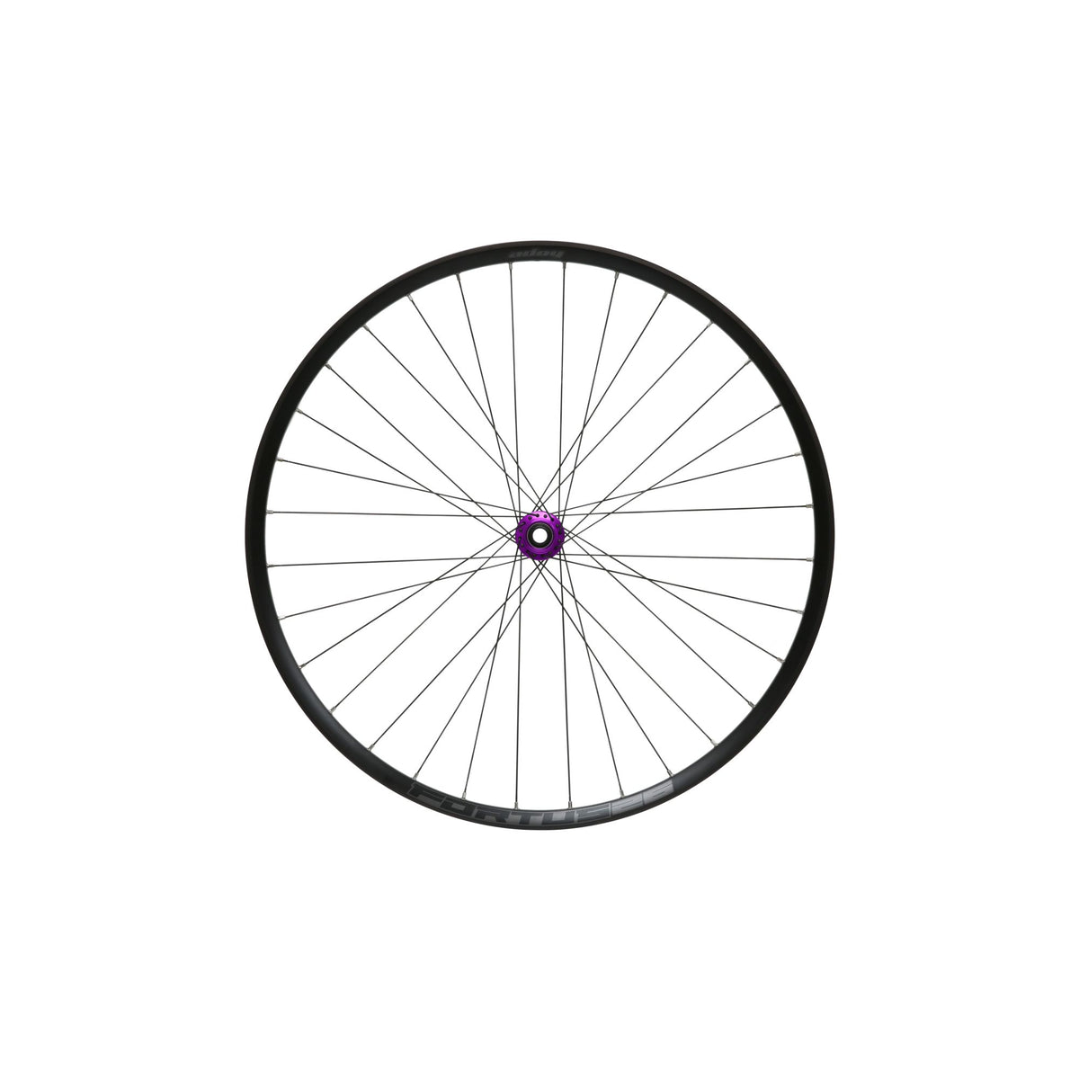 Hope Wheel Front 26 Fortus 26W Pro 5 C-Lock 100mm x QR Purple