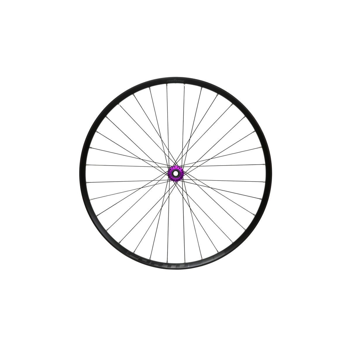 Hope Wheel Front 29 Fortus 35W Pro 5 C-Lock 110mm x 15mm Purple