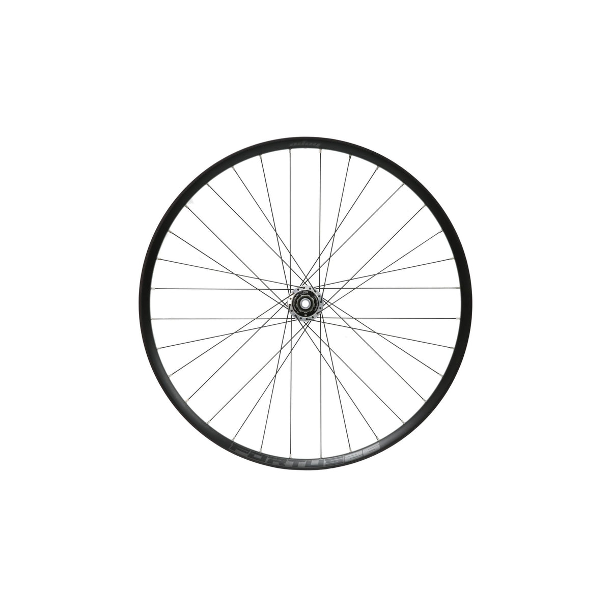 Hope Wheel Rear 29 Fortus 26W Pro 5 C-Lock 142mm HG Steel Silver