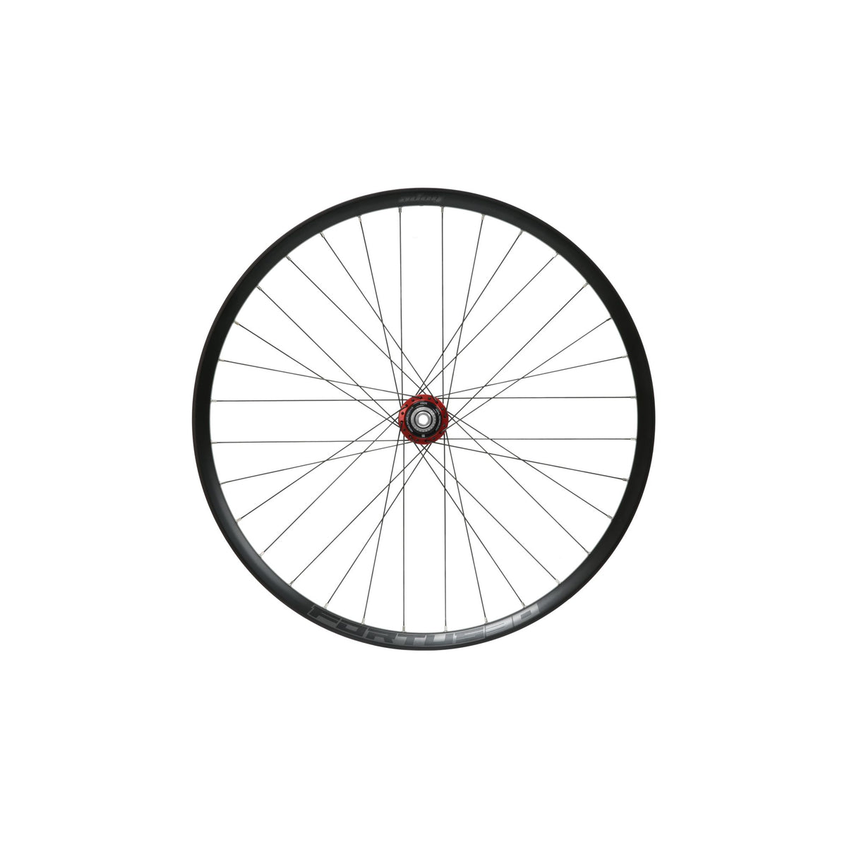 Hope Wheel Rear 29 Fortus 30W Pro 5 C-Lock 148mm MS Red