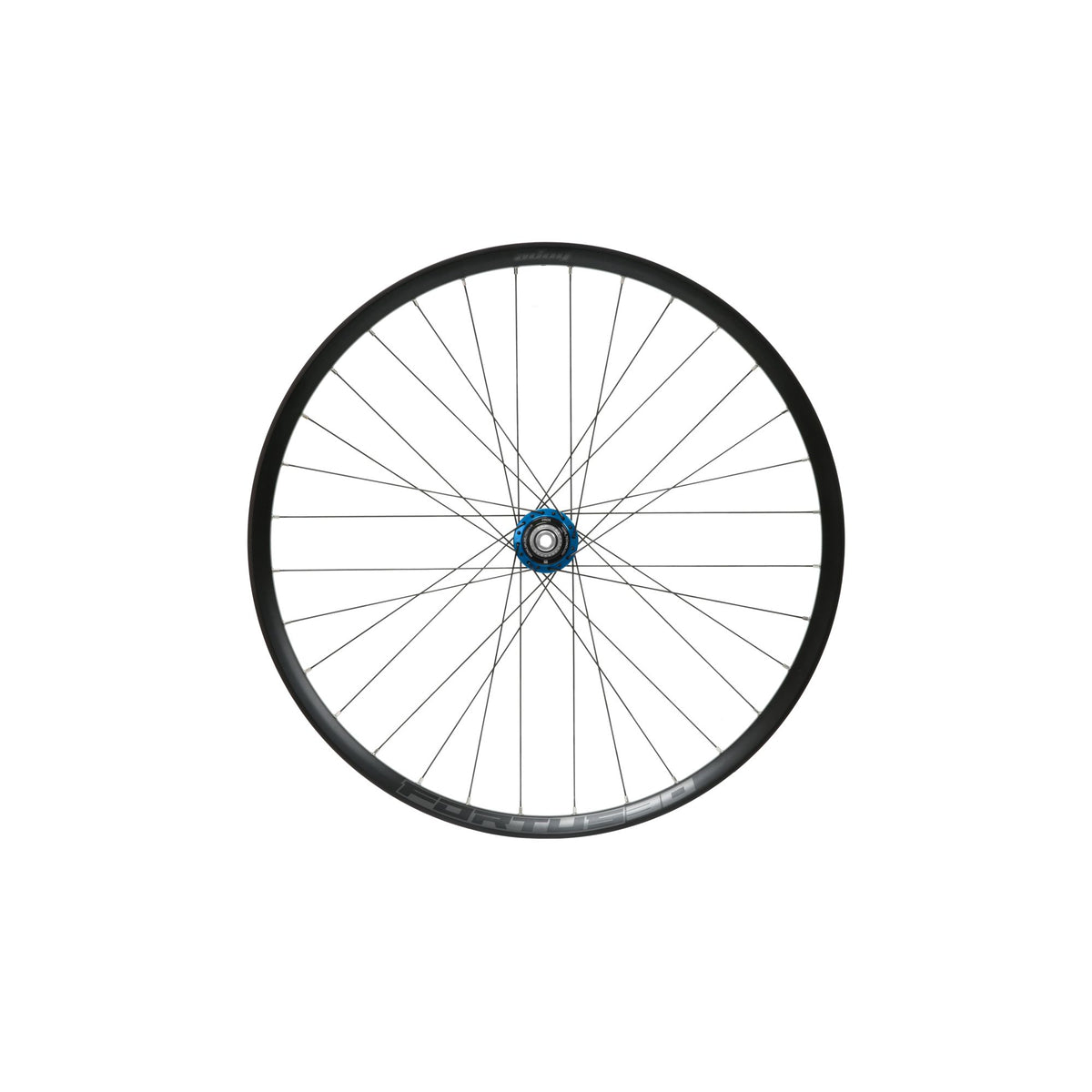 Hope Wheel Rear 29 Fortus 30W Pro 5 150mm MS Blue