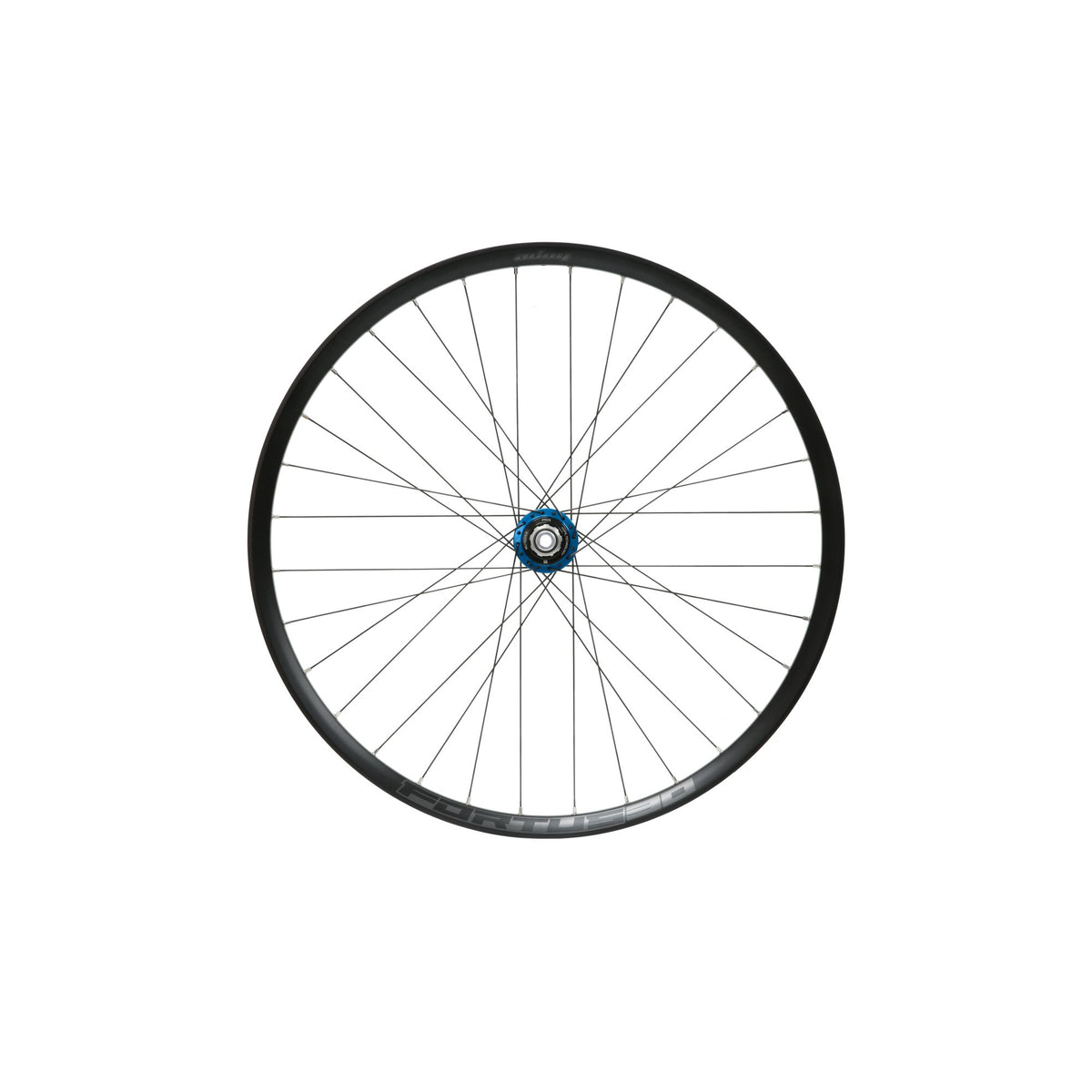 Hope Wheel Rear 29 Fortus 30W Pro 5 150mm XD Blue