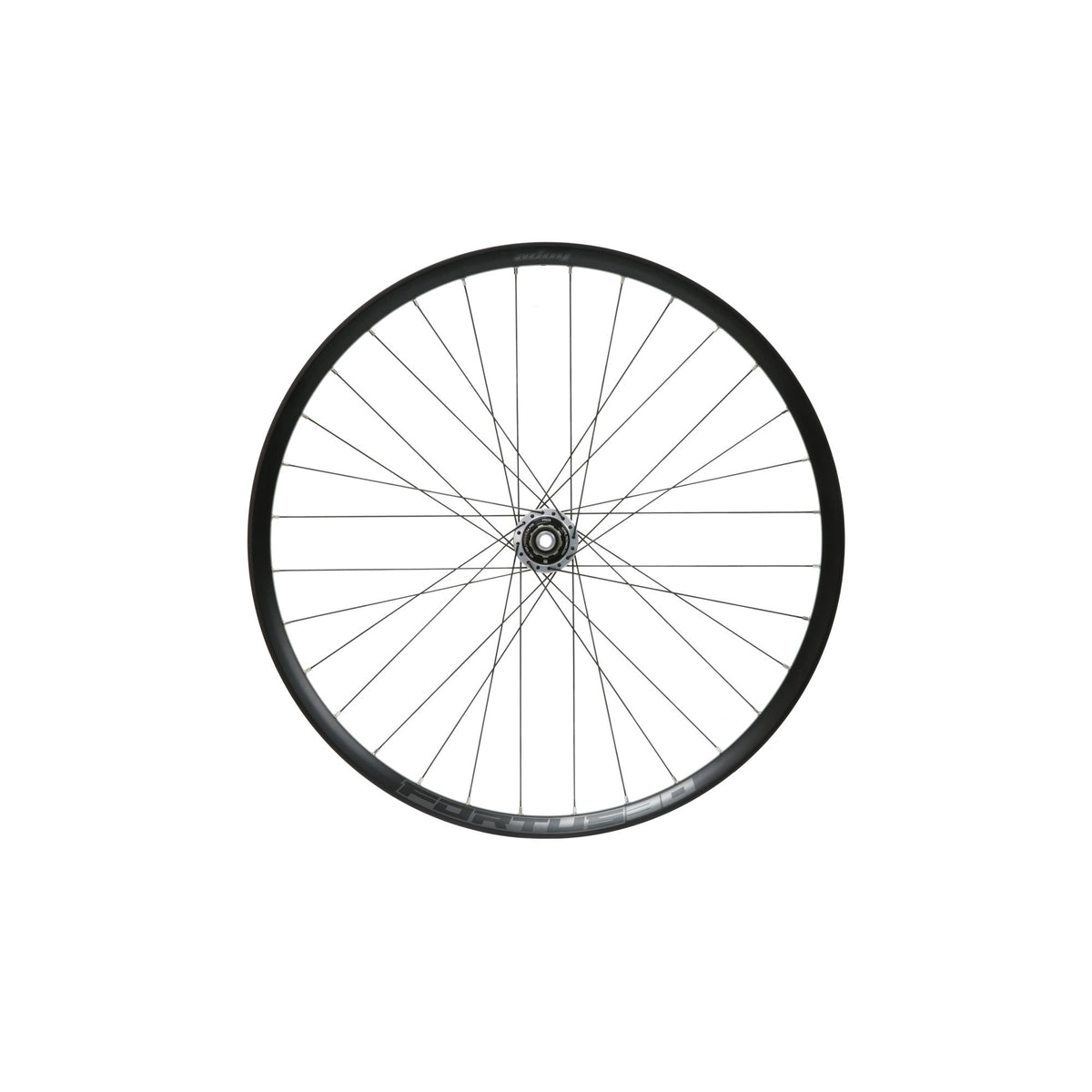 Hope Wheel Rear 29 Fortus 30W Pro 5 148mm HG Steel Silver