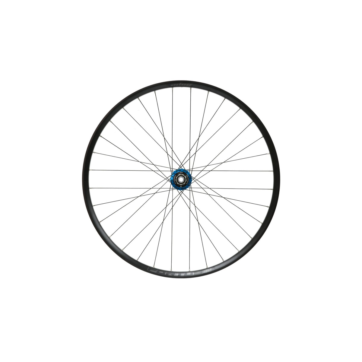 Hope Wheel Rear 29 Fortus 30W SC Pro 5 C-Lock 142mm HG Blue
