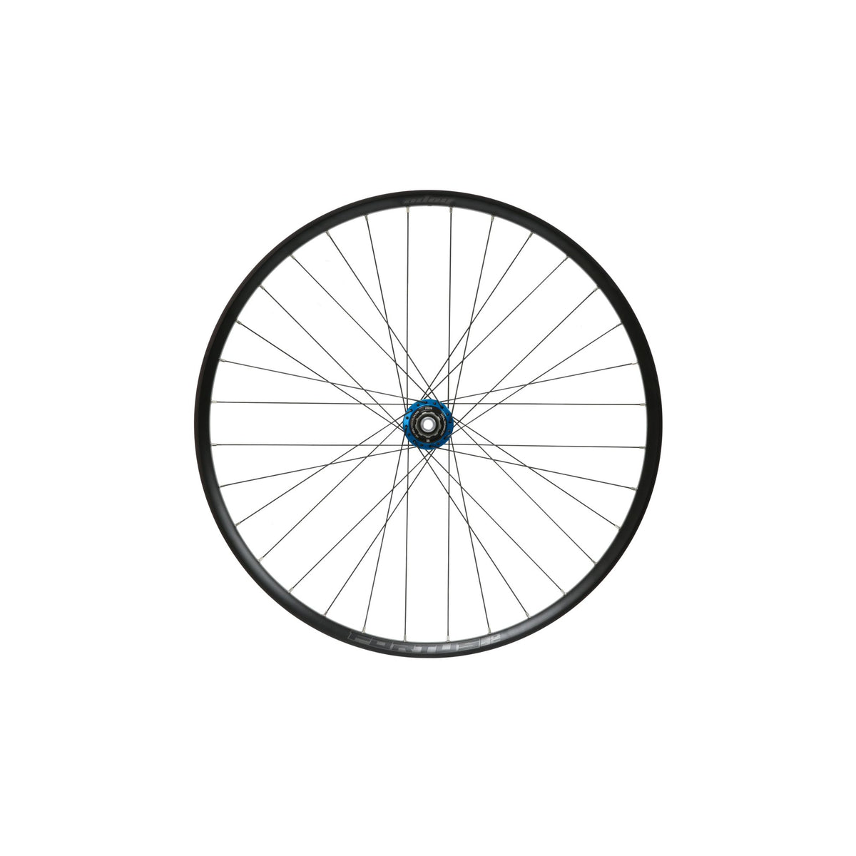 Hope Wheel Rear 29 Fortus 30W SC Pro 5 C-Lock 142mm HG Steel Blue