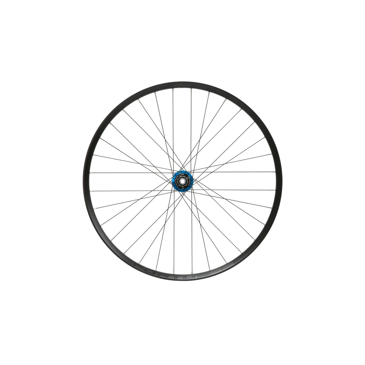 Hope Wheel Rear 29 Fortus 35W Pro 5 148mm HG Steel Blue