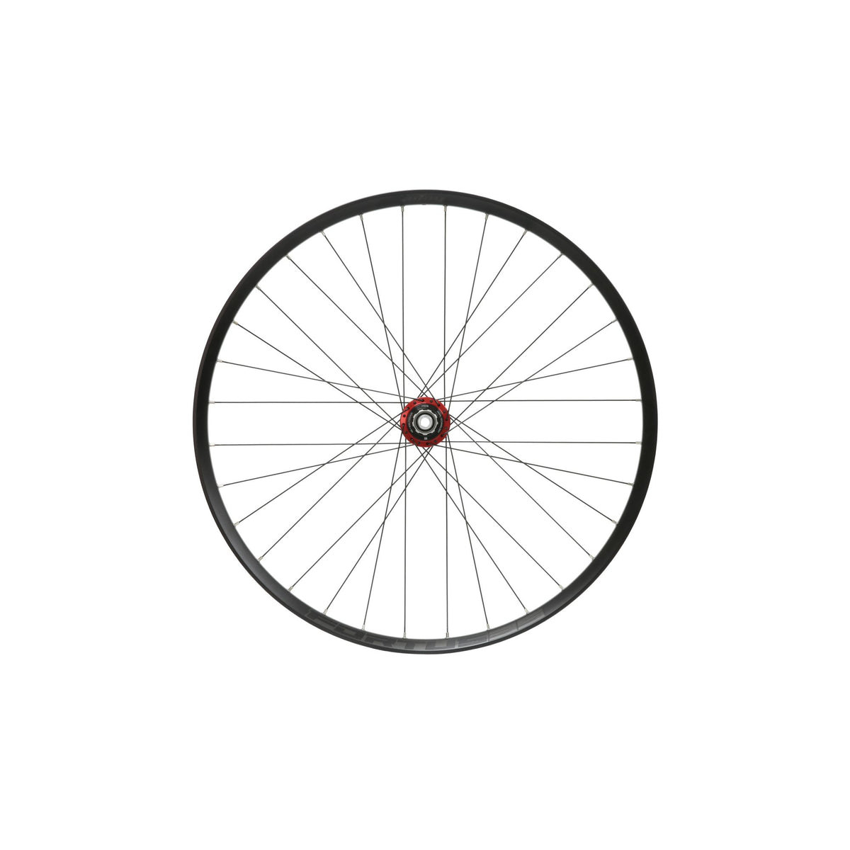 Hope Wheel Rear 29 Fortus 35W Pro 5 148mm HG Red