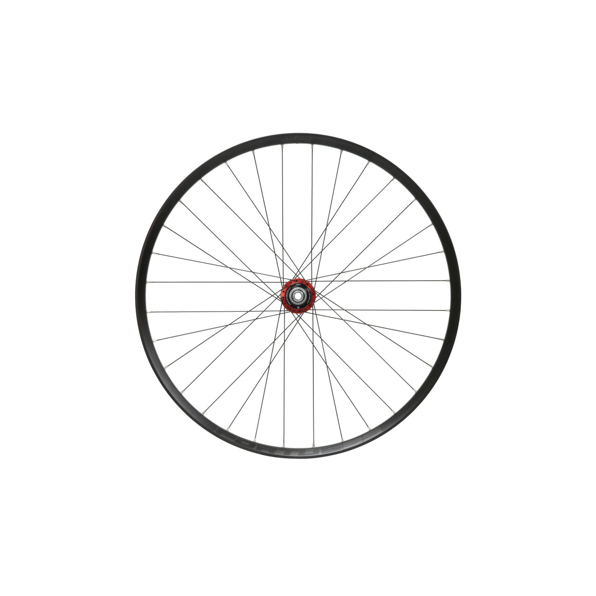 Hope Wheel Rear 29 Fortus 35W Pro 5 150mm MS Red