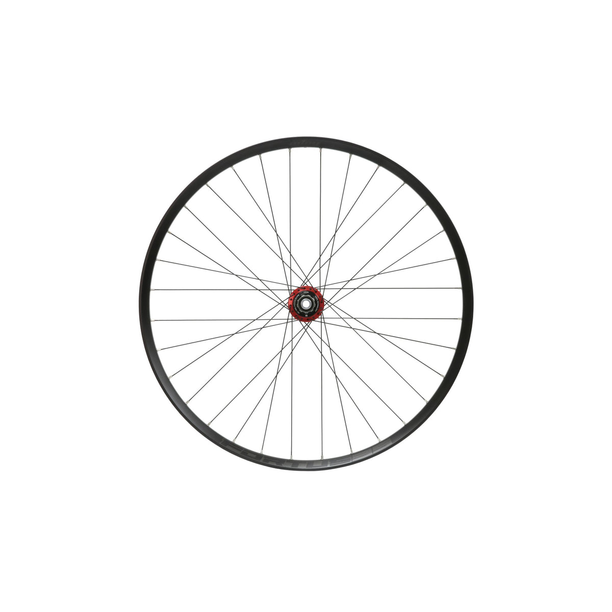 Hope Wheel Rear 29 Fortus 35W Pro 5 150mm HG Steel Red