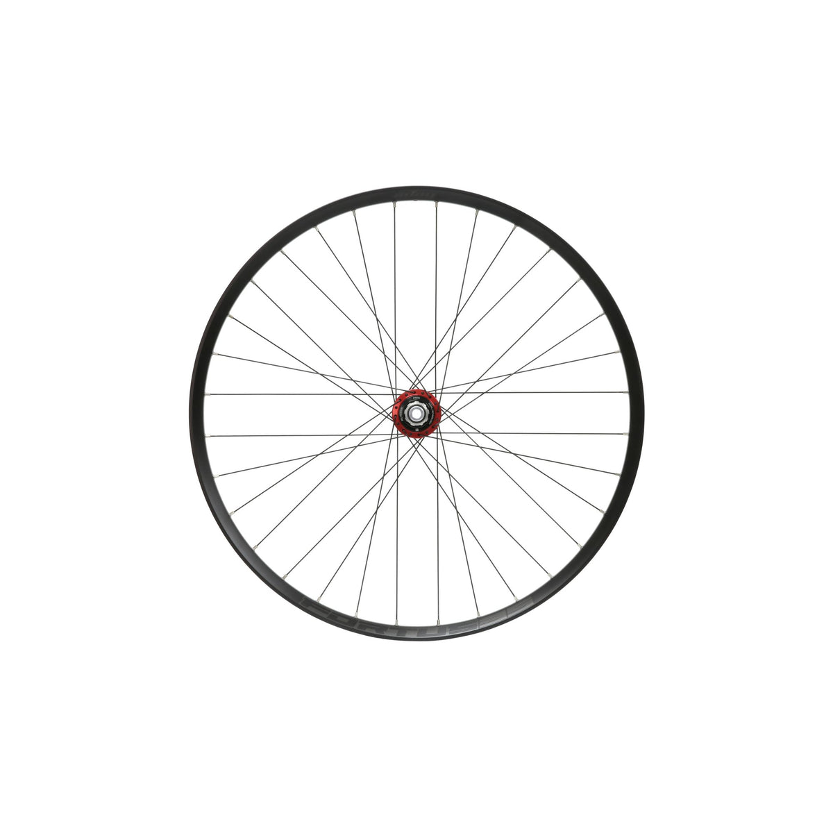 Hope Wheel Rear 29 Fortus 35W Pro 5 150mm XD Red