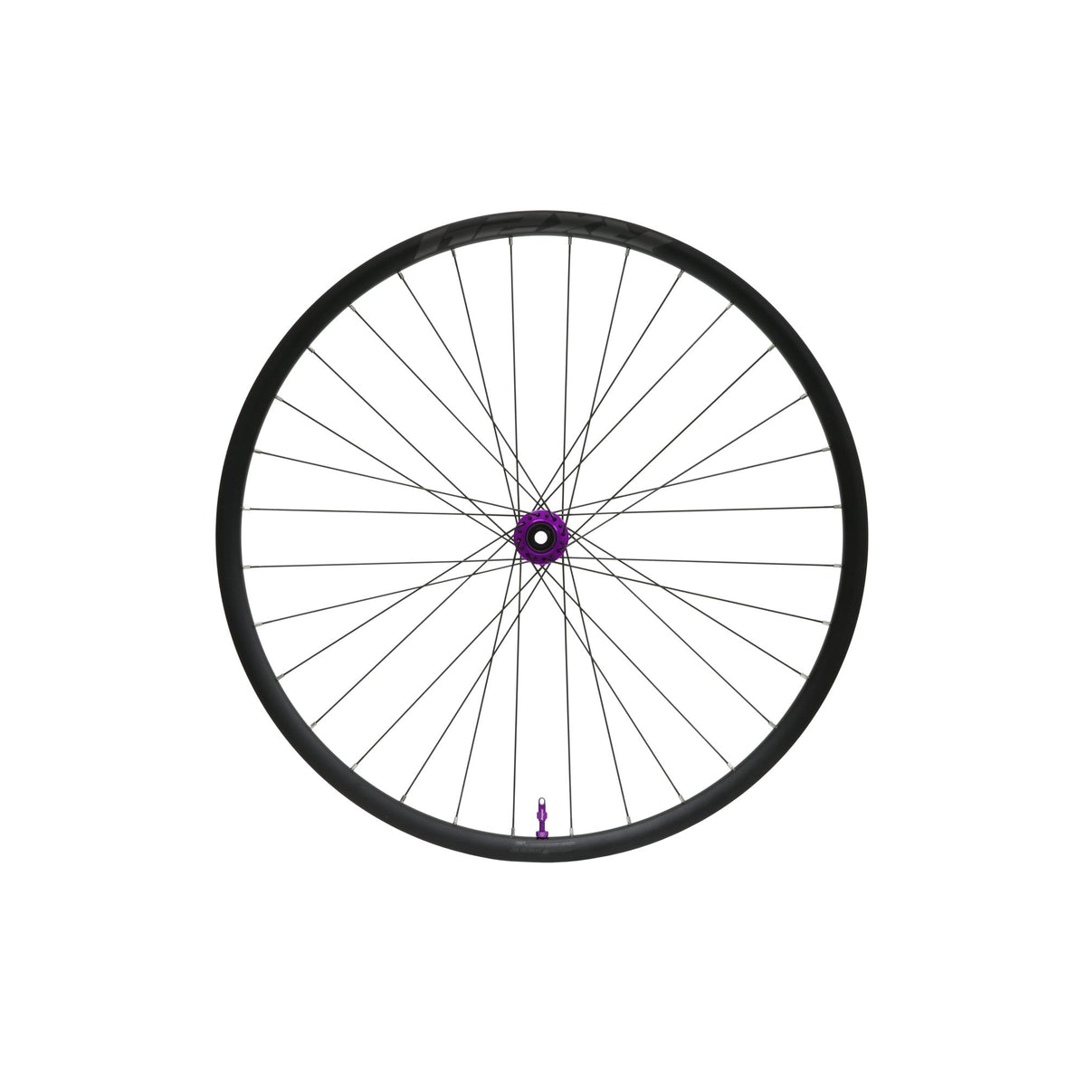Hope Wheel Front RX24 Pro 5 C-Lock 32H 100mm x QR Purple