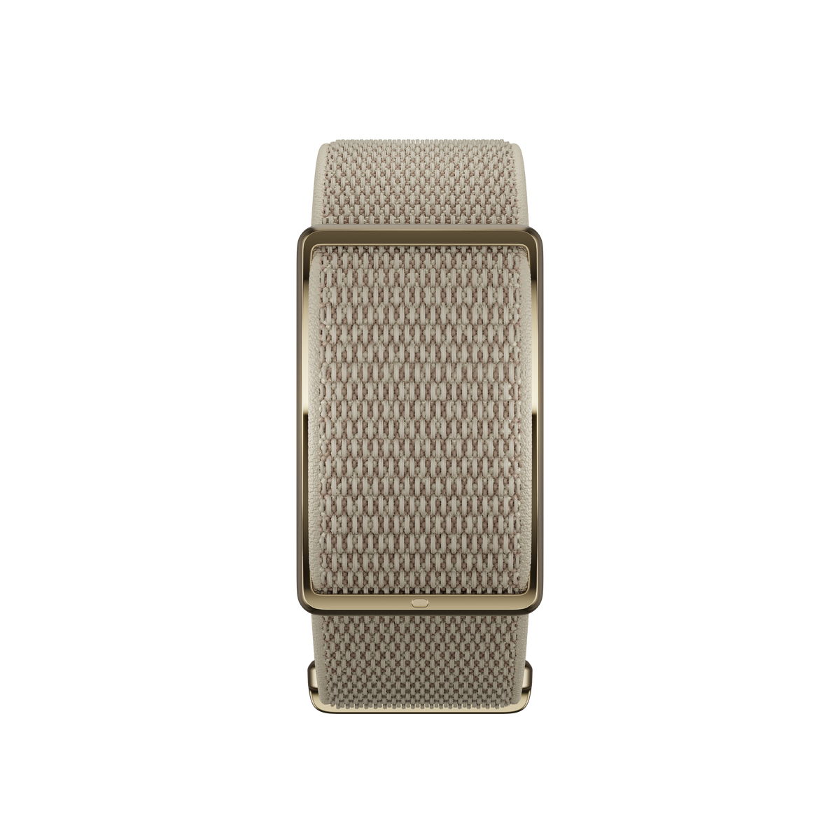POLAR LOOP GEN2 GLD/SAND S-L