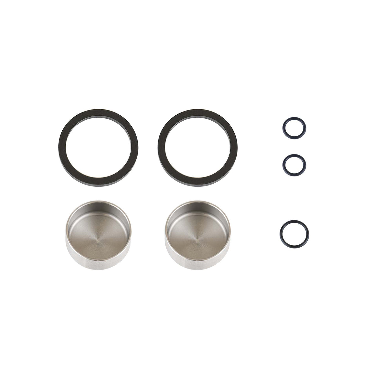 KIT SEALS & PISTONS C21CALIPER OIL ASM