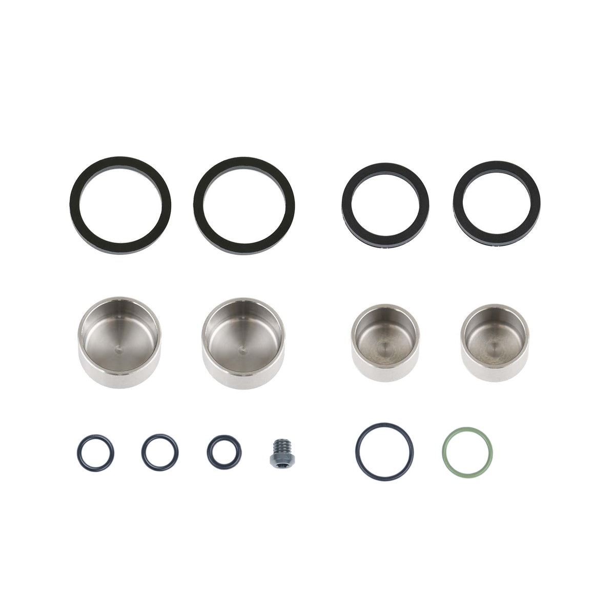 KIT SEALS & PISTONS C42CALIPER OIL ASM
