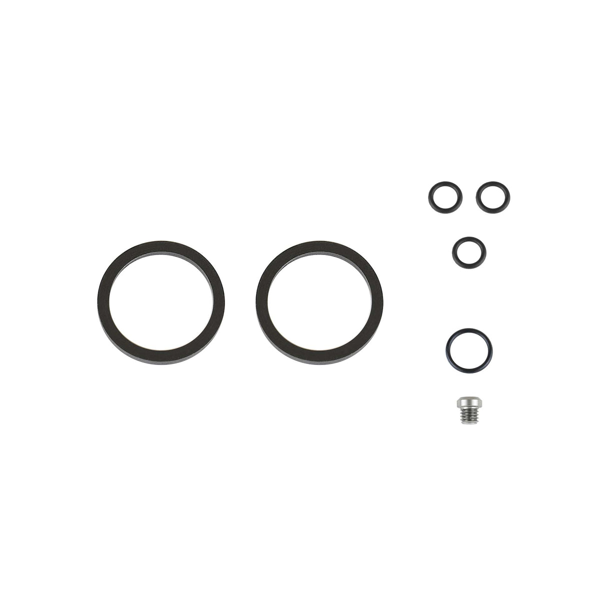 KIT SEALS C22 CALIPER OIL ASM