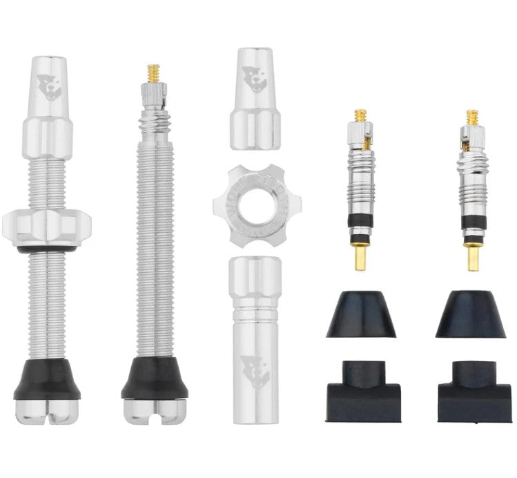 TUBELESS VALVE STEM KIT 44MM RAW SILVER