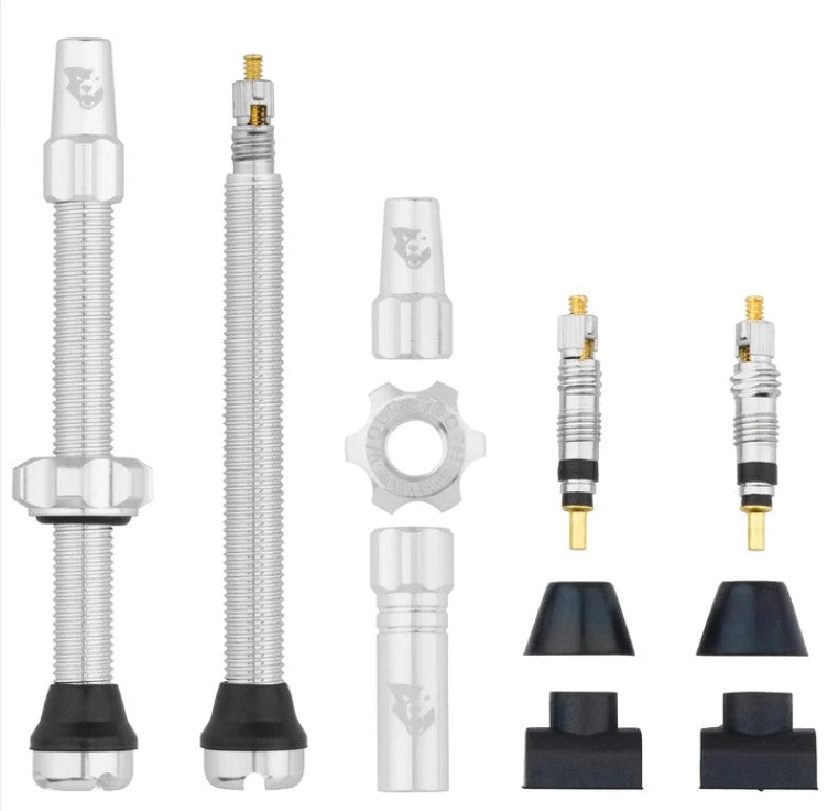 TUBELESS VALVE STEM KIT 60MM RAW SILVER