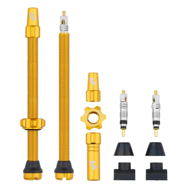 TUBELESS VALVE STEM KIT 80MM GOLD