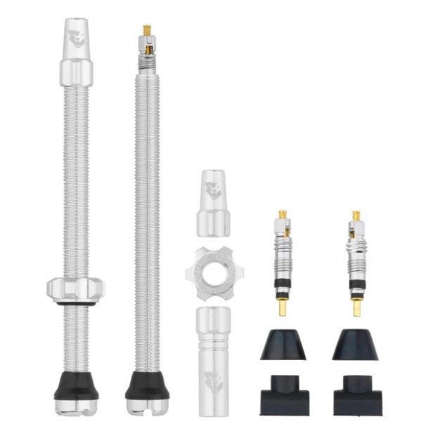 TUBELESS VALVE STEM KIT 80MM RAW SILVER