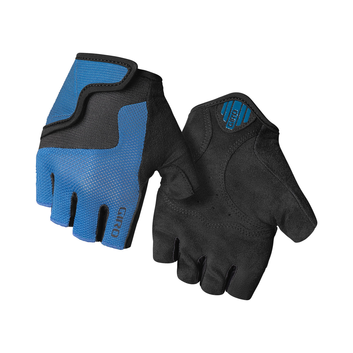 BRAVO JR SHABORI BLUE L