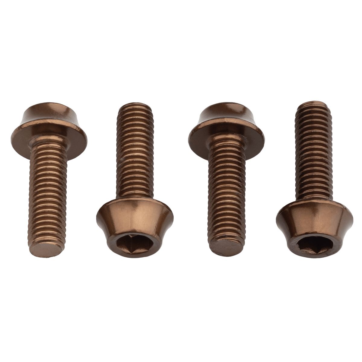 WATER BOTTLE CAGE BOLTS ESPRESSO